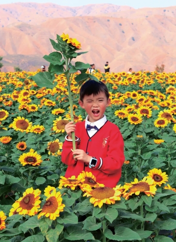 3.王俊辰