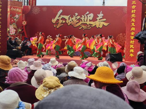 图片6