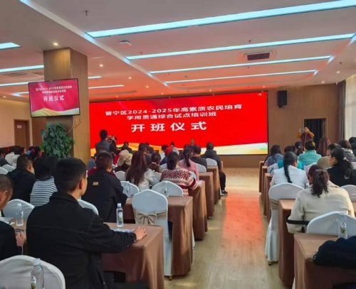 图片4