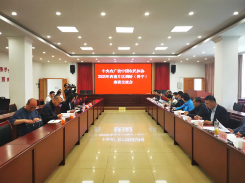 图片6