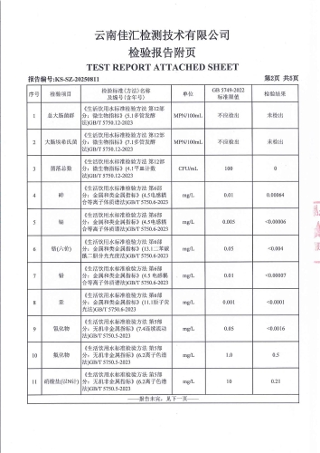 晋城镇人民政府 2025.4_03