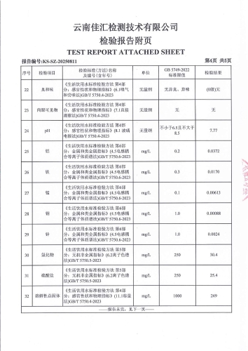 晋城镇人民政府 2025.4_05
