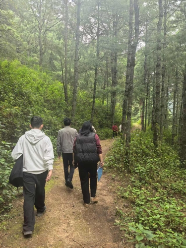文物线索核查路上