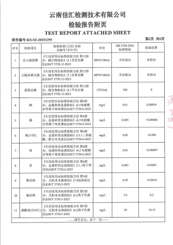 昆明市晋宁区二街镇人民镇府 末梢水 次氯酸钠消毒 38项）_04