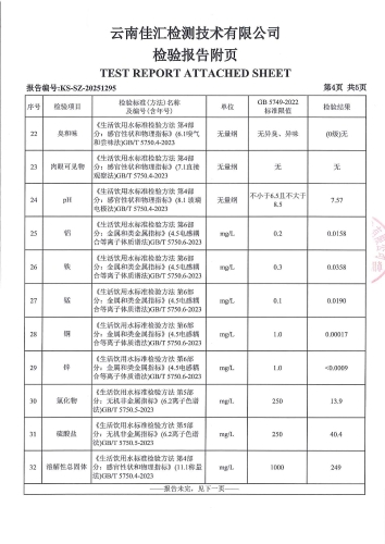 昆明市晋宁区二街镇人民镇府 末梢水 次氯酸钠消毒 38项）_06