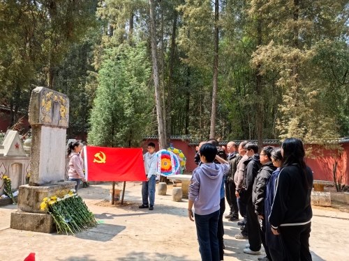 图片4