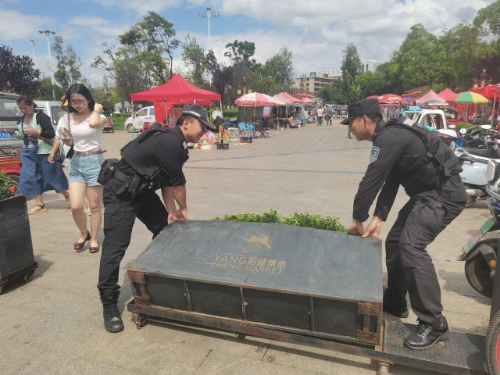 图片1