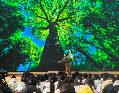 第四段后4 第四段后4