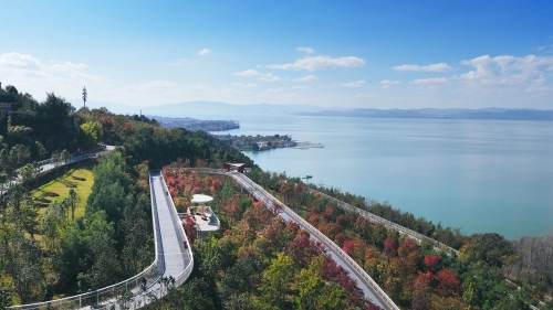 微信图片_2025-12-15_135220_470