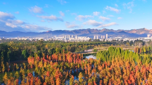 微信图片_2025-12-15_135302_027