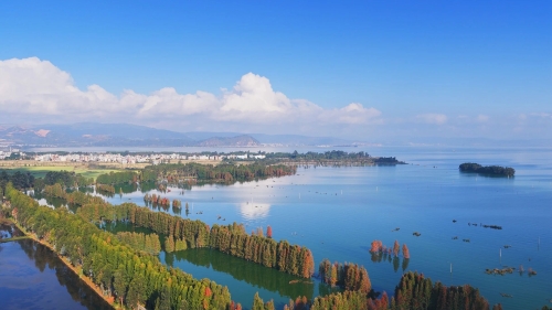 微信图片_2025-12-15_135308_665