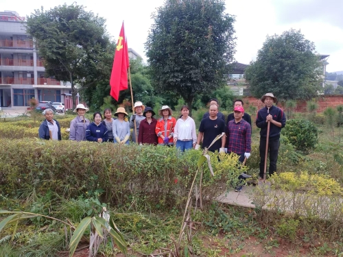 10.16栗庙支部组织党员及村民开展志愿活动