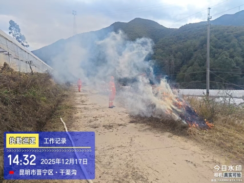 12.17组织路边及农林结合部可燃物清理报备监烧