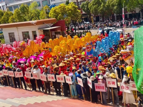 “马”力全开！这个春节晋宁年味浓、活动多、人气足、消费旺、游客满意度高！(图3)