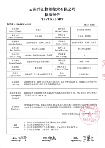 二街镇人民政府2026.5_03