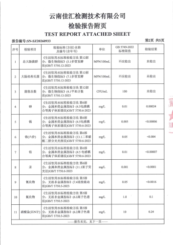 二街镇人民政府2026.5_04