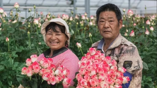 甜蜜笑脸