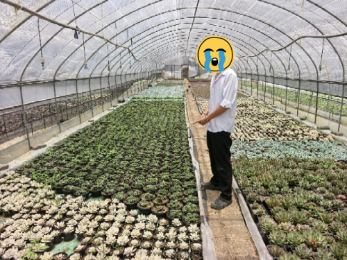 微信图片_2026-07-31_170102_379 微信图片_2026-07-31_170102_379